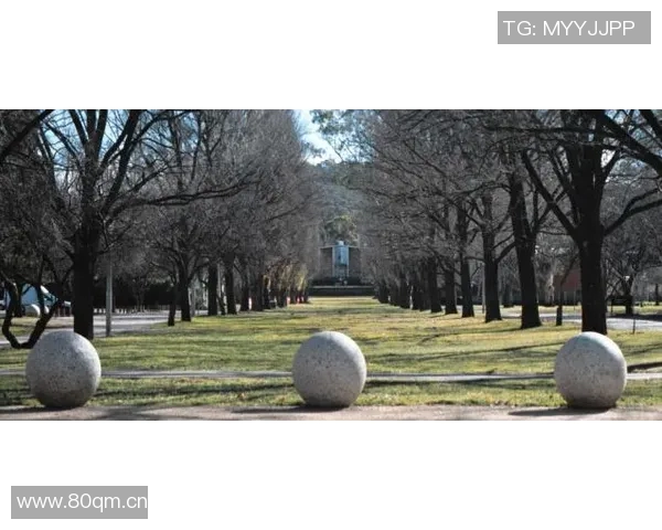 李丽的王者荣耀人生：从新手到高手的深度对话与成长之路