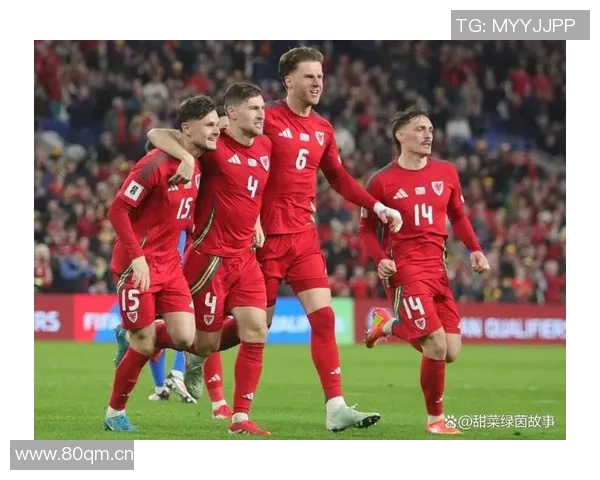 比利时与威尔士精彩对决直播时间及观看指南详解